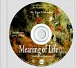 Meaning of Life (1)