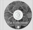 What is consciousness