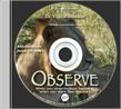 Observe